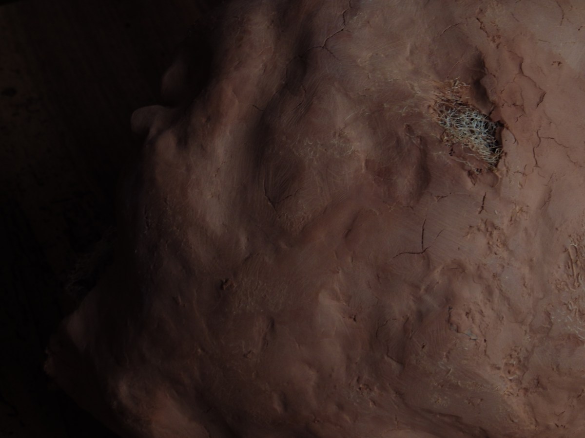 Mémoire… Sel de&nbsp;terre